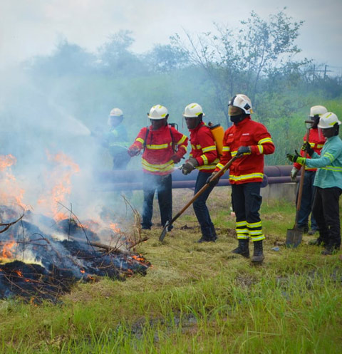 Build Beautiful Websites