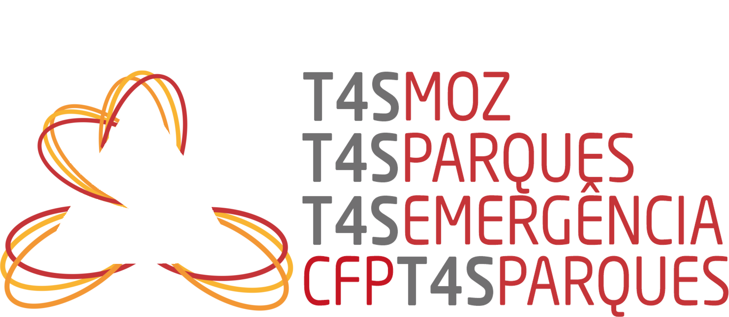 Grupo transparente
